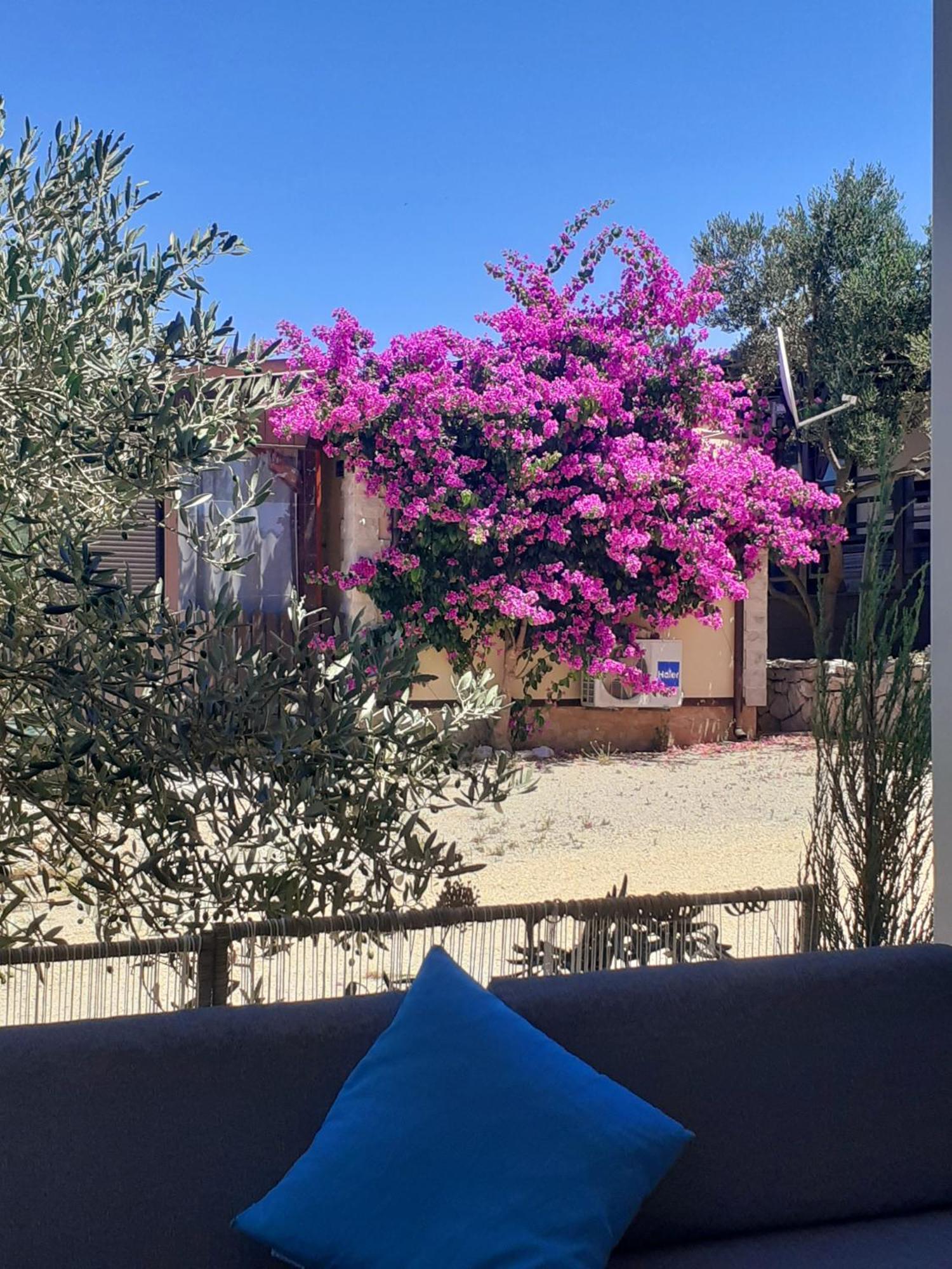 Eden Lady Mobile Home, Croatia, 드라게 외부 사진